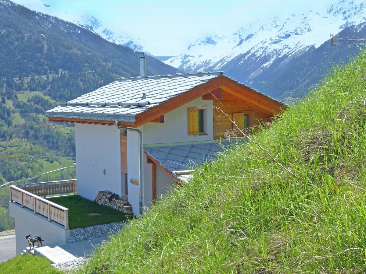 Mountain-View Chalet In Heremence With Terrace ภายนอก รูปภาพ